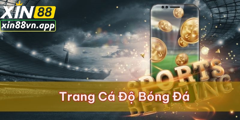 Trang cá độ bóng đá